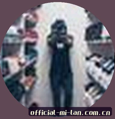 刘会计